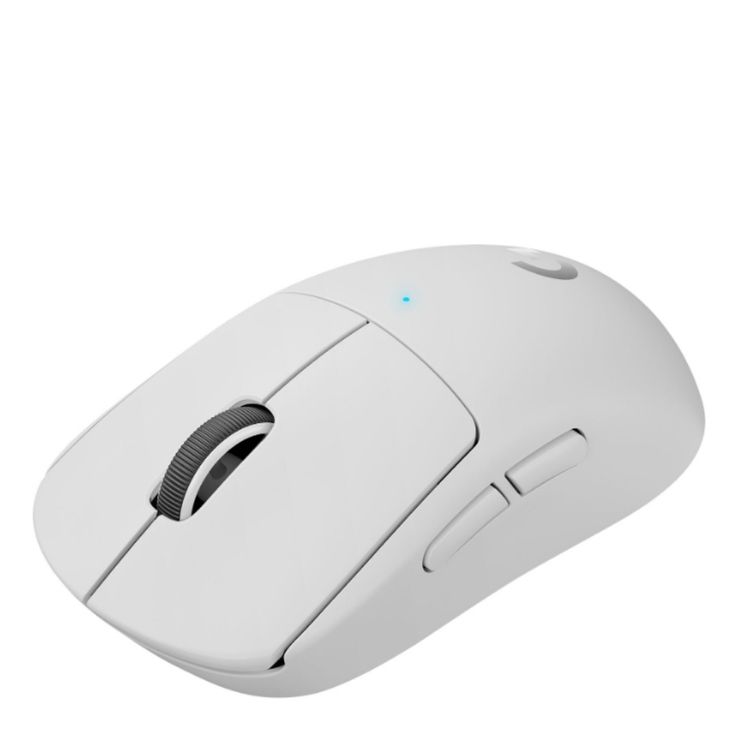 High-performance mouse