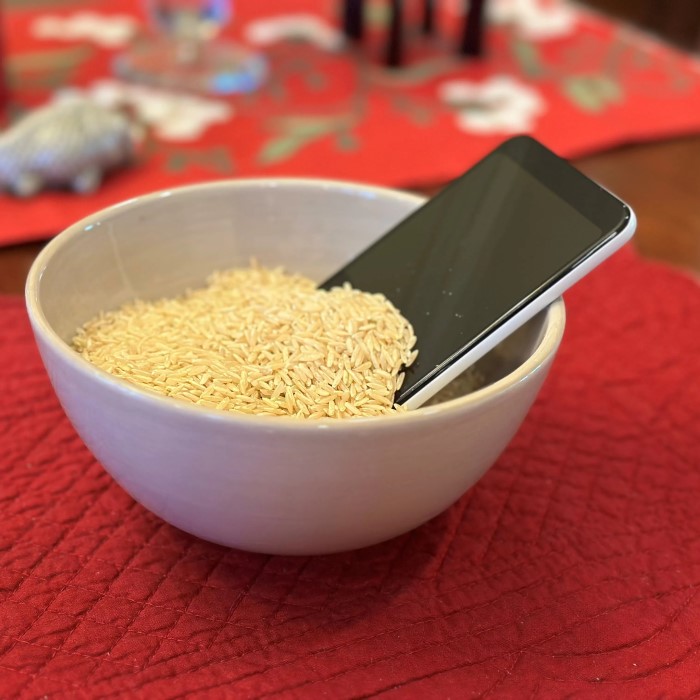 how does putting your phone in rice work