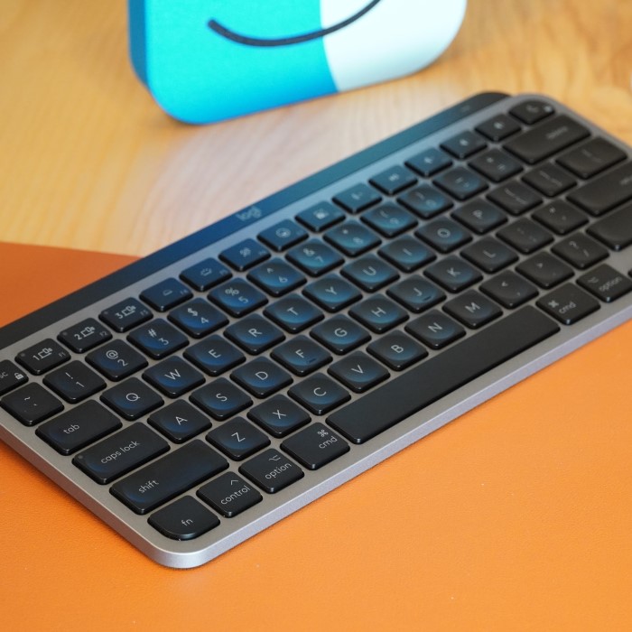 does logitech wireless keyboard work with mac