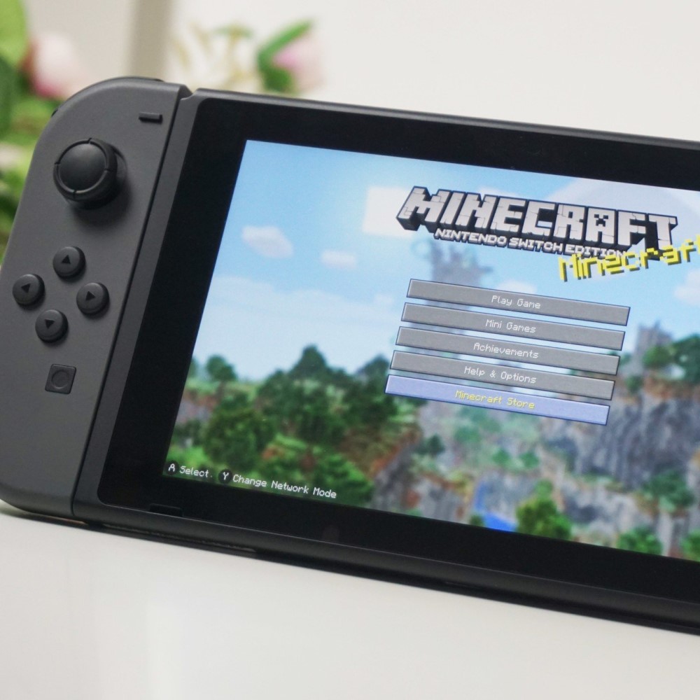 minecraft on switch