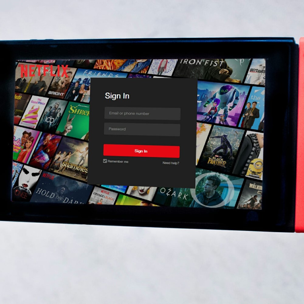 watch netflix on switch