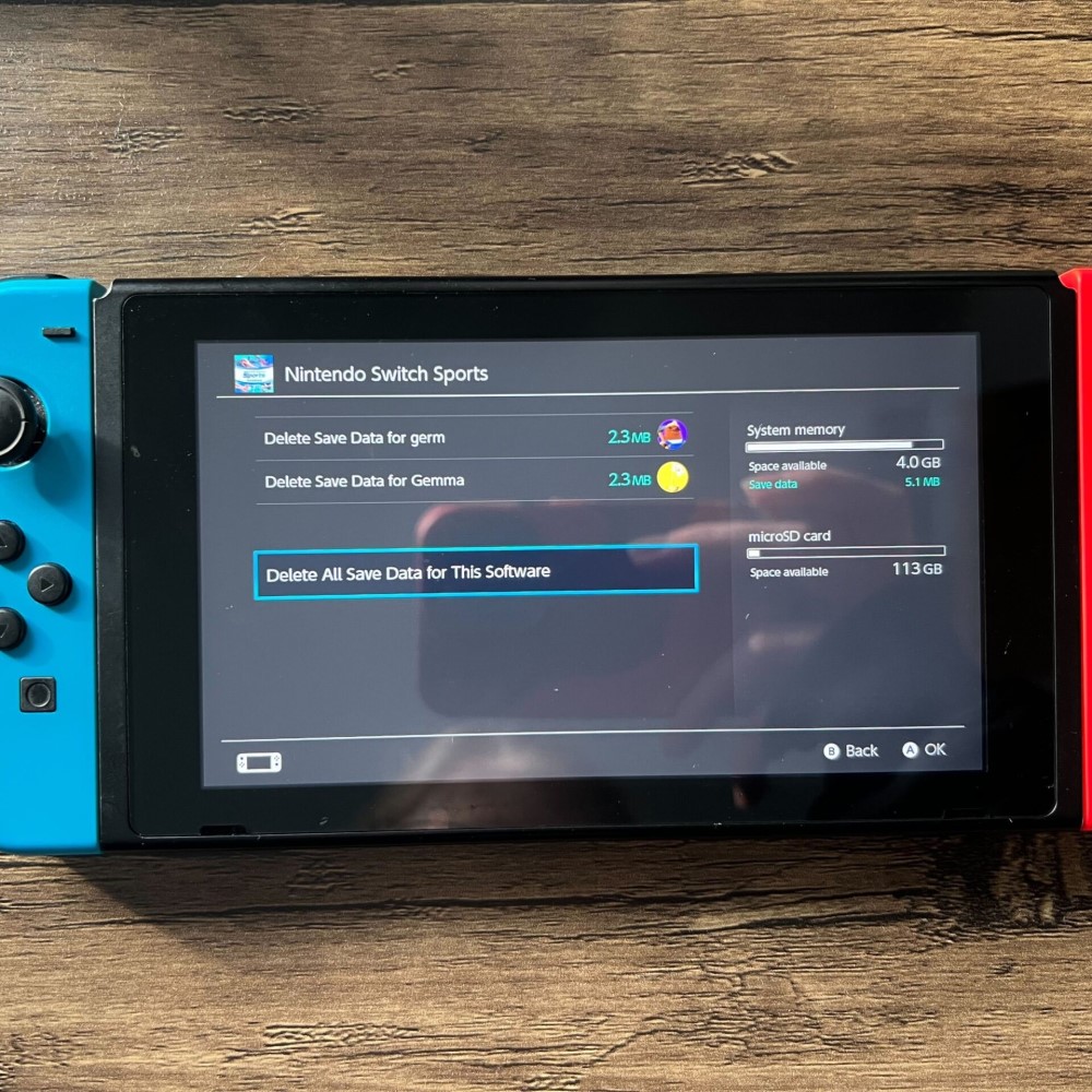 delete save data on switch