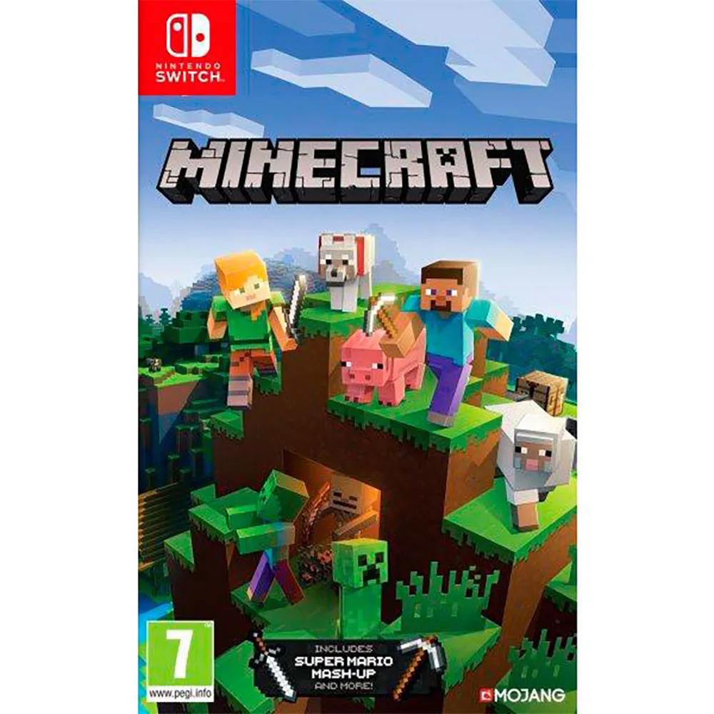 minecraft on switch