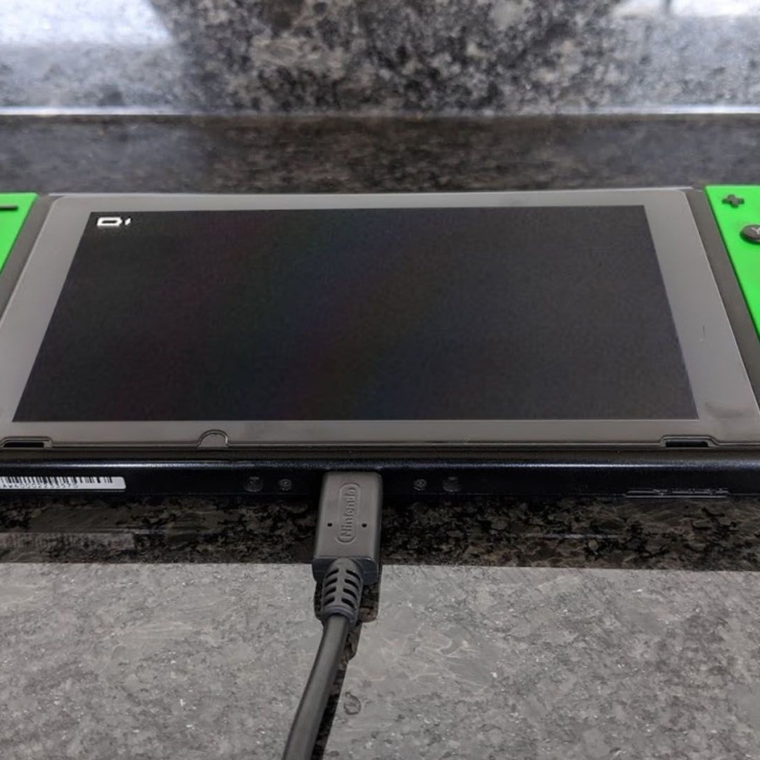 nintendo switch charge