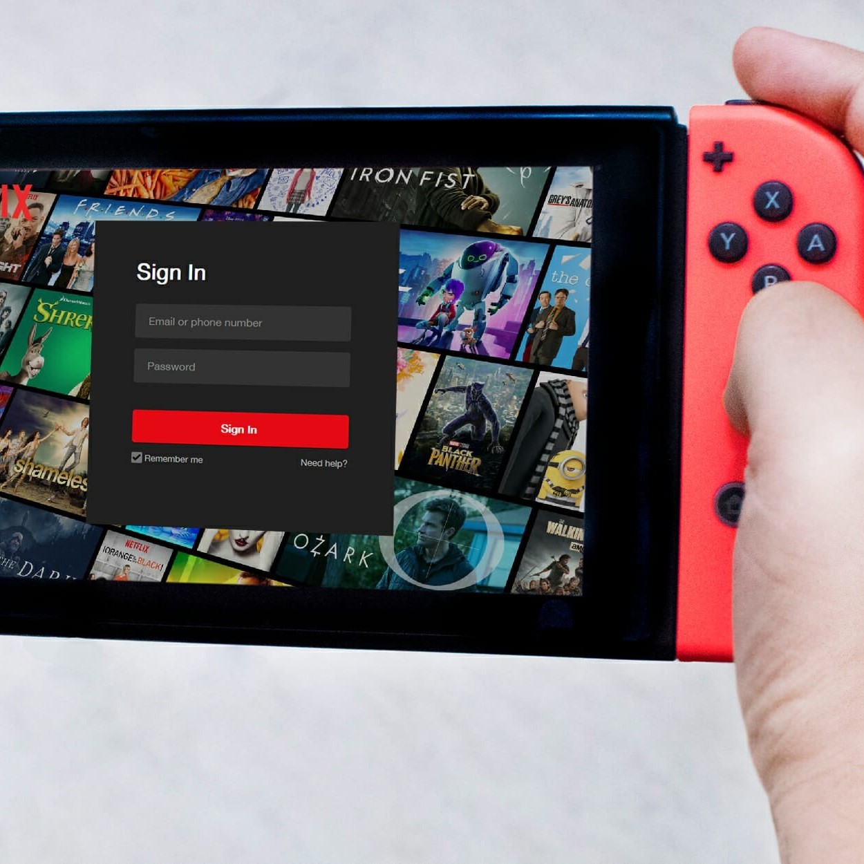 can you download netflix on switch