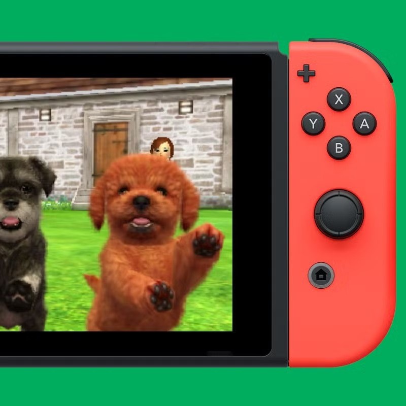 can you watch movies on nintendo switch